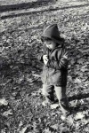 Acorn Watching