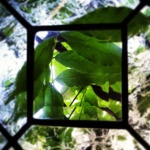 Thru The Window